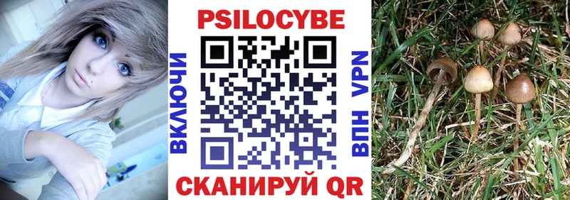 Псилоцибиновые грибы мицелий Нерехта